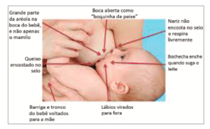 pega-amamentacao