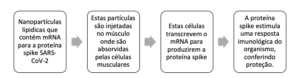 esquema covid